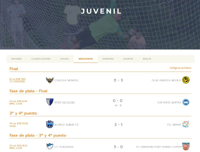 Integration of Competize in the website of Pyrenees Cup